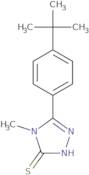 5-(4-tert-Butylphenyl)-4-methyl-4H-1,2,4-triazole-3-thiol