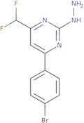 4-(4-Bromophenyl)-6-(difluoromethyl)-2-hydrazinopyrimidine