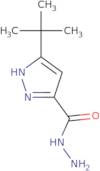 3-tert-Butyl-1H-pyrazole-5-carbohydrazide