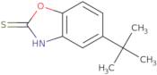 5-tert-Butyl-1,3-benzoxazole-2-thiol