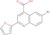 6-Bromo-2-(2-furyl)quinoline-4-carboxylic acid