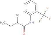 2-Bromo-N-[2-(trifluoromethyl)phenyl]butanamide