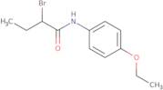 2-Bromo-N-(4-ethoxyphenyl)butanamide