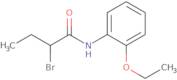 2-Bromo-N-(2-ethoxyphenyl)butanamide