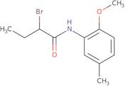 2-Bromo-N-(2-methoxy-5-methylphenyl)butanamide