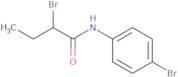 2-Bromo-N-(4-bromophenyl)butanamide