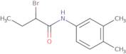 2-Bromo-N-(3,4-dimethylphenyl)butanamide