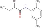 2-Bromo-N-(2,5-dimethylphenyl)butanamide