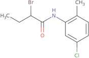 2-Bromo-N-(5-chloro-2-methylphenyl)butanamide