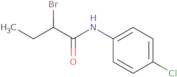 2-Bromo-N-(4-chlorophenyl)butanamide