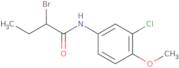 2-Bromo-N-(3-chloro-4-methoxyphenyl)butanamide