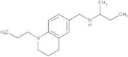 N-(sec-Butyl)-N-[(1-propyl-1,2,3,4-tetrahydroquinolin-6-yl)methyl]amine