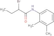 2-Bromo-N-(2,3-dimethylphenyl)butanamide