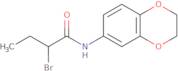 2-Bromo-N-2,3-dihydro-1,4-benzodioxin-6-ylbutanamide