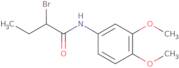 2-Bromo-N-(3,4-dimethoxyphenyl)butanamide