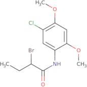 2-Bromo-N-(5-chloro-2,4-dimethoxyphenyl)butanamide