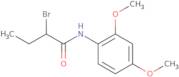 2-Bromo-N-(2,4-dimethoxyphenyl)butanamide