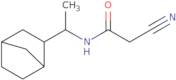 N-(1-Bicyclo[2.2.1]hept-2-ylethyl)-2-cyanoacetamide