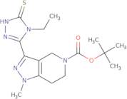 tert-Butyl 3-(4-ethyl-5-mercapto-4H-1,2,4-triazol-3-yl)-1-methyl-1,4,6,7-tetrahydro-5H-pyrazolo[4,3-c]pyridine-5-carboxylate