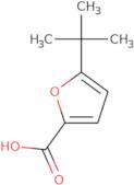 5-tert-Butyl-2-furoic acid