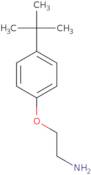 [2-(4-tert-Butylphenoxy)ethyl]amine hydrochloride