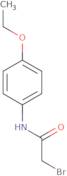 2-Bromo-N-(4-ethoxyphenyl)acetamide