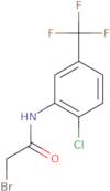 2-Bromo-N-[2-chloro-5-(trifluoromethyl)phenyl]acetamide