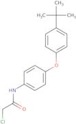 N-[4-(4-tert-Butylphenoxy)phenyl]-2-chloroacetamide