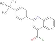 2-(4-tert-Butylphenyl)quinoline-4-carbonyl chloride