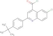 2-(4-tert-Butylphenyl)-6-chloroquinoline-4-carbonyl chloride