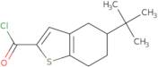 5-tert-Butyl-4,5,6,7-tetrahydro-1-benzothiophene-2-carbonyl chloride