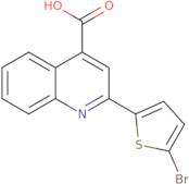 2-(5-Bromo-2-thienyl)quinoline-4-carboxylic acid