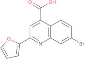 7-Bromo-2-(2-furyl)quinoline-4-carboxylic acid