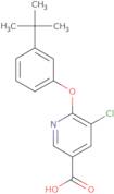 6-(3-tert-Butylphenoxy)-5-chloronicotinic acid