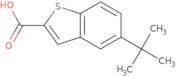 5-tert-Butyl-1-benzothiophene-2-carboxylic acid