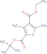 2-tert-Butyl 4-ethyl 5-amino-3-methylthiophene-2,4-dicarboxylate