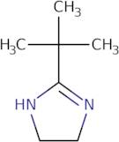 2-tert-Butyl-4,5-dihydro-1H-imidazole