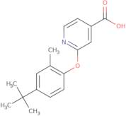 2-(4-tert-Butyl-2-methylphenoxy)isonicotinic acid