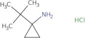 (1-tert-Butylcyclopropyl)amine hydrochloride