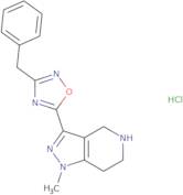 3-(3-Benzyl-1,2,4-oxadiazol-5-yl)-1-methyl-4,5,6,7-tetrahydro-1H-pyrazolo[4,3-c]pyridine hydroch...