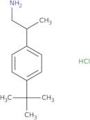 [2-(4-tert-Butylphenyl)propyl]amine hydrochloride