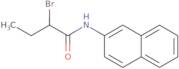 2-Bromo-N-2-naphthylbutanamide