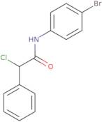 N-(4-Bromophenyl)-2-chloro-2-phenylacetamide