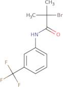 2-Bromo-2-methyl-N-[3-(trifluoromethyl)phenyl]propanamide