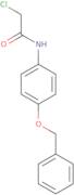 N-[4-(Benzyloxy)phenyl]-2-chloroacetamide