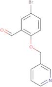 5-Bromo-2-(pyridin-3-ylmethoxy)benzaldehyde