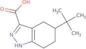 5-tert-Butyl-4,5,6,7-tetrahydro-1H-indazole-3-carboxylic acid