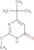 6-tert-Butyl-2-(methylthio)pyrimidin-4(3H)-one