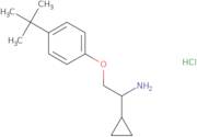 [2-(4-tert-Butylphenoxy)-1-cyclopropylethyl]amine hydrochloride