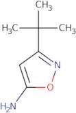 3-tert-Butyl-isoxazol-5-ylamine